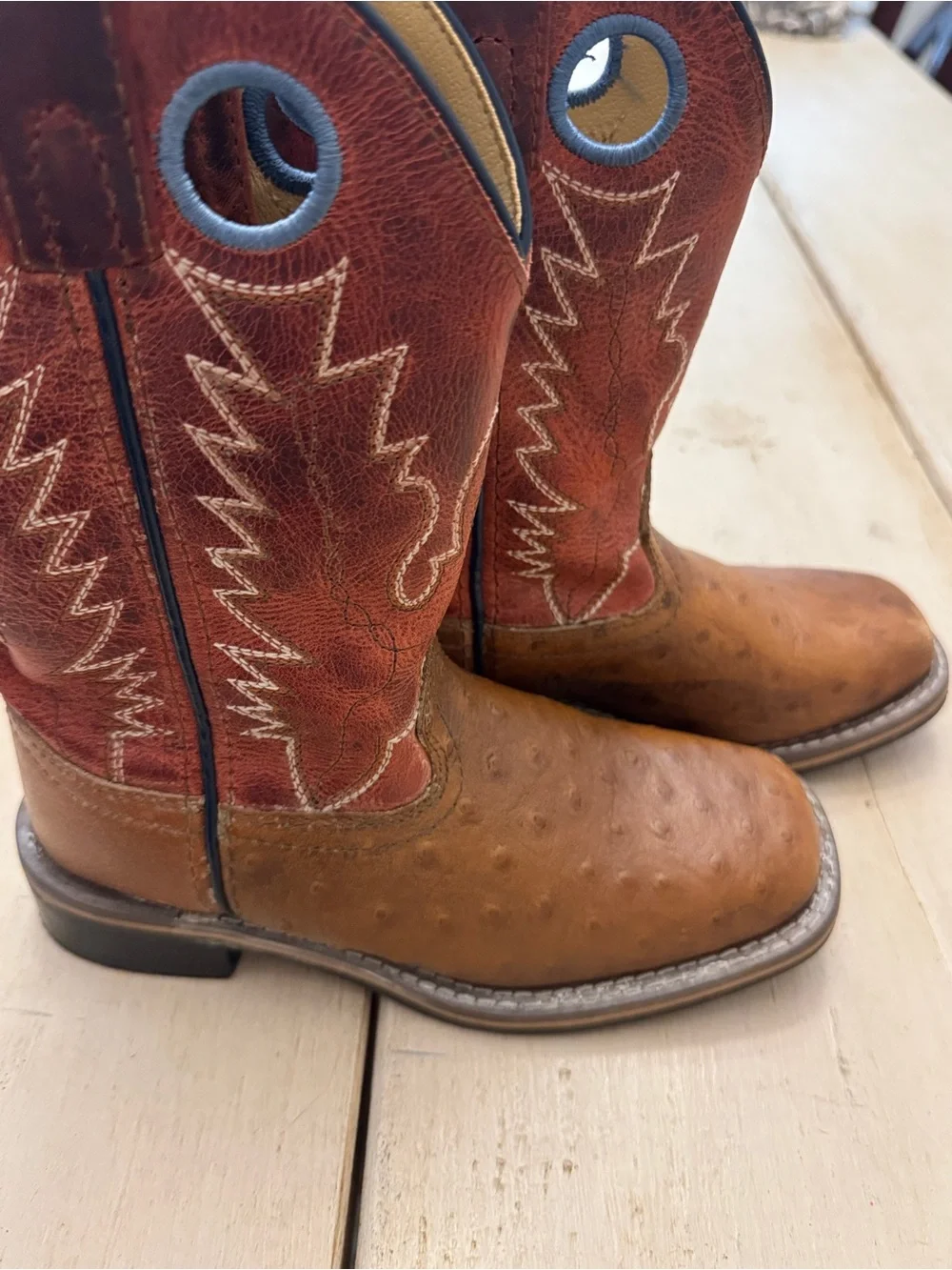 Kids Brown and Red Western Cowboy Boots